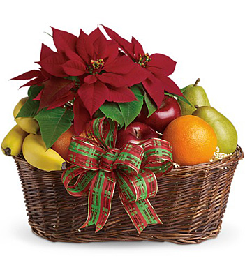 Fruit and Poinsettia Basket from In Full Bloom in Farmingdale, NY